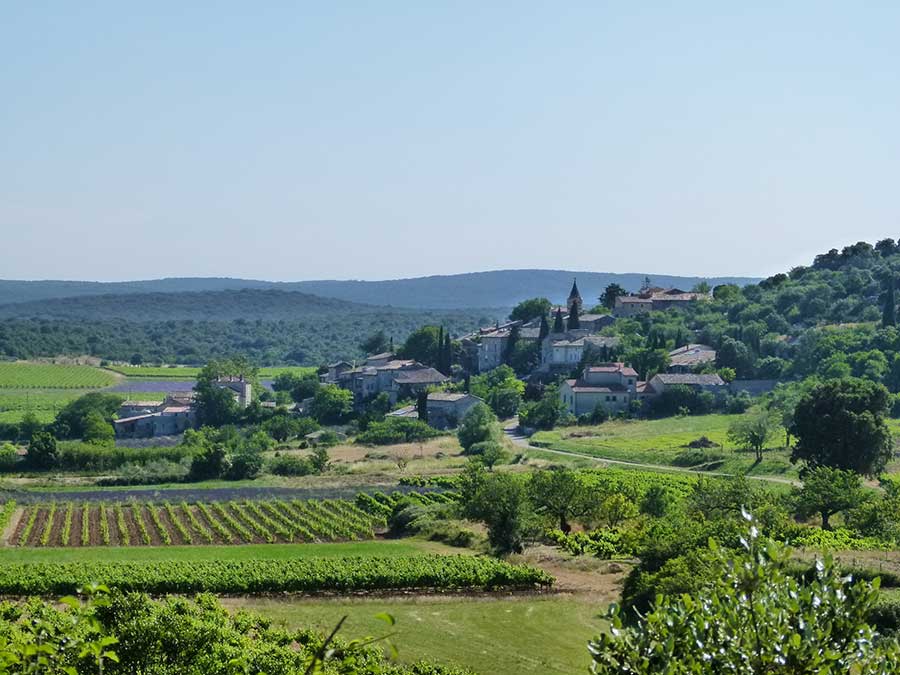 Entdeckung der Weinberge in den Côtes du Rhône